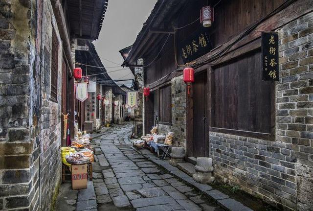 我市勇夺“双冠”